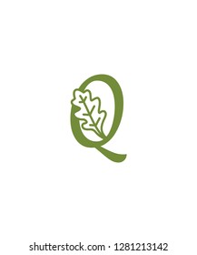 Letter Q With Oak Leaf Logo Icon 001