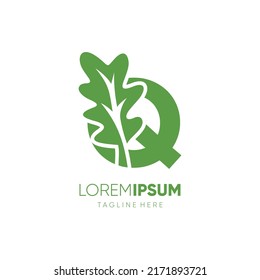 Letter Q Oak Leaf Tree Logo Design Vector Icon Graphic Emblem Illustration 