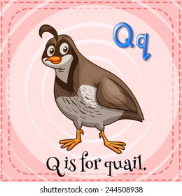 384 Quail clipart Images, Stock Photos & Vectors | Shutterstock