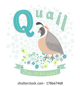 Letter Q - Quail. Alphabet with cute animals. Vector illustration.