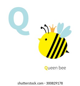 Letter Q Queen bee Zoo alphabet. English abc with animals Education cards for kids Isolated White background Flat design Vector illustration