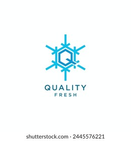 Letter Q with snowflake abstract geometric line logo vector icon illustration
