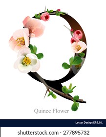 Letter Q vector alphabet with pink quince flower. ABC concept type as logo. Typography design