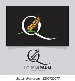 Letter Q Wheat Logo Design Vector Icon Graphic Illustration