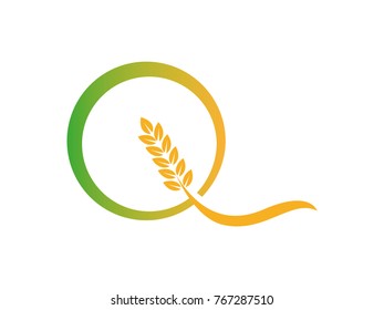 letter Q with wheat seed logo