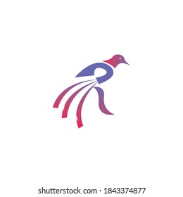 letter R, creative bird logo illustration with color vector design template