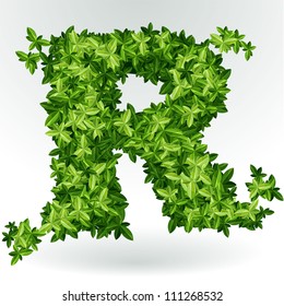 Letter R, green leaves summer vector alphabet.