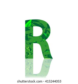 Letter R logo, design template element, font style, vector illustration
