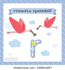 Letter R lowercase cute children colorful zoo and animals ABC alphabet tracing flashcard of Flying Roseate Spoonbill bird for kids learning English vocabulary and handwriting vector illustration.