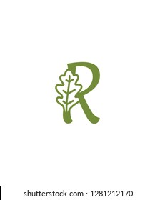 Letter R With Oak Leaf Logo Icon 001