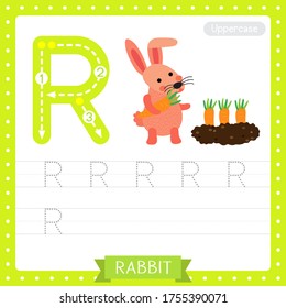 Letter R uppercase cute children colorful zoo and animals ABC alphabet tracing practice worksheet of Rabbit holding carrot for kids learning English vocabulary and handwriting vector illustration.