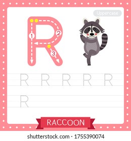 Letter R uppercase cute children colorful zoo and animals ABC alphabet tracing practice worksheet of Dancing Raccoon for kids learning English vocabulary and handwriting vector illustration.