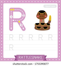 Letter R uppercase cute children colorful zoo and animals ABC alphabet tracing practice worksheet of Curled up Rattlesnake for kids learning English vocabulary and handwriting vector illustration.