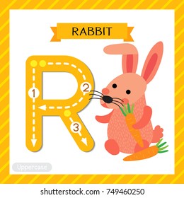 Letter R uppercase cute children colorful zoo and animals ABC alphabet tracing flashcard of Pink Rabbit holding carrot for kids learning English vocabulary and handwriting vector illustration.