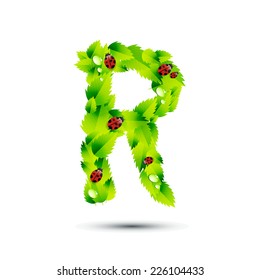 Letter R, vector alphabet of green leaves,ladybugs and water drop on white background