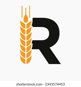 Letter R Wheat Logo For Agriculture Symbol Vector Template