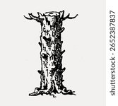 I letter, rustic calligraphy font illustration isolated on white, vector. Creative font and typography letter, isolated vector. Vintage black font.