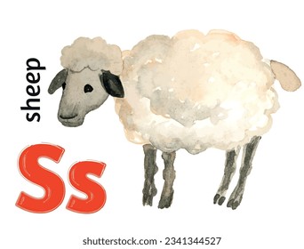 Letter S of the English alphabet with the image of a sheep  in watercolor on a white background. Children's drawing.