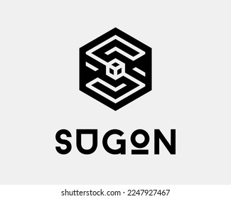 Letter S Hexagon Cube Block Box Frame Border Emblem Label Badge Geometric Modern Vector Logo Design