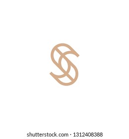 Letter S Logo Design Template