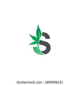 Letter S logo icon with cannabis leaf design vector illustration