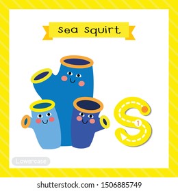 Letter S lowercase cute children colorful zoo and animals ABC alphabet tracing flashcard of Sea Squirt for kids learning English vocabulary and handwriting vector illustration.