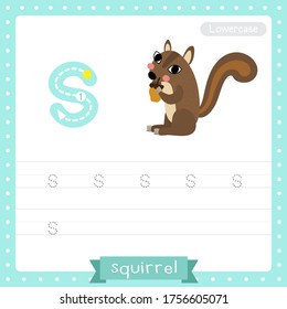 Letter S lowercase cute children colorful zoo and animals ABC alphabet tracing practice worksheet of Squirrel for kids learning English vocabulary and handwriting vector illustration.