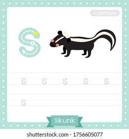 Letter S lowercase cute children colorful zoo and animals ABC alphabet tracing practice worksheet of Skunk for kids learning English vocabulary and handwriting vector illustration.