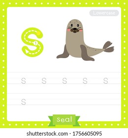 Letter S lowercase cute children colorful zoo and animals ABC alphabet tracing practice worksheet of Seal for kids learning English vocabulary and handwriting vector illustration.