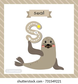 Letter S lowercase cute children colorful zoo and animals ABC alphabet tracing flashcard of Seal for kids learning English vocabulary and handwriting vector illustration.