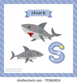 Letter S lowercase cute children colorful zoo and animals ABC alphabet tracing flashcard of Shark for kids learning English vocabulary and handwriting vector illustration.