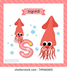 Letter S lowercase cute children colorful zoo and animals ABC alphabet tracing flashcard of Squid for kids learning English vocabulary and handwriting vector illustration.