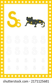 Letter S lowercase. Worksheet. Children's education. Salamander illustration. Vector typeset. Alphabetical font. Preschool training.