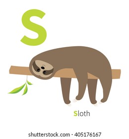 Letter S Sloth  English abc with animals Zoo alphabet. Education cards for kids Isolated White background Flat design Vector illustration