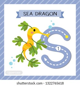 Letter S uppercase cute children colorful zoo and animals ABC alphabet tracing flashcard of Sea Dragon for kids learning English vocabulary and handwriting vector illustration.