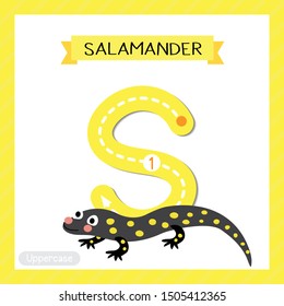 Letter S uppercase cute children colorful zoo and animals ABC alphabet tracing flashcard of Salamander for kids learning English vocabulary and handwriting vector illustration.