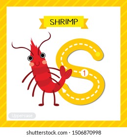 Letter S uppercase cute children colorful zoo and animals ABC alphabet tracing flashcard of Standing Shrimp for kids learning English vocabulary and handwriting vector illustration.