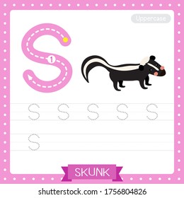 Letter S uppercase cute children colorful zoo and animals ABC alphabet tracing practice worksheet of Skunk for kids learning English vocabulary and handwriting vector illustration.