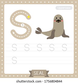 Letter S uppercase cute children colorful zoo and animals ABC alphabet tracing practice worksheet of Seal for kids learning English vocabulary and handwriting vector illustration.