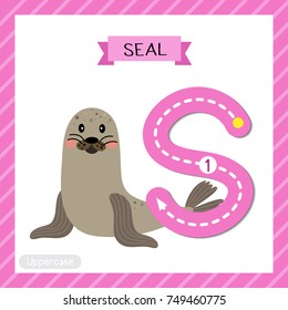 Letter S uppercase cute children colorful zoo and animals ABC alphabet tracing flashcard of Seal for kids learning English vocabulary and handwriting vector illustration.