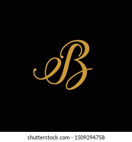 Letter Sb Logo Vector Download Stock Vector (Royalty Free) 1509294758 ...