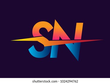 Letter Sd Logo Lightning Icon Letter Stock Vector (Royalty Free) 1024294675