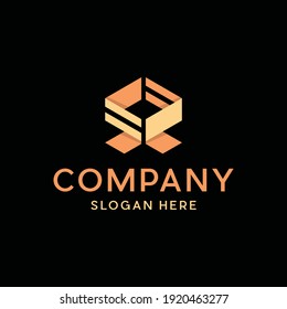 Letter SR Box Logo Design