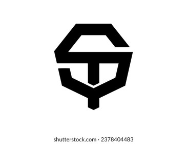 letra modelo de ilustración vectorial de diseño del logotipo ST hexagon.
