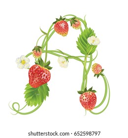 Letter A Strawberry font. Red Berry lettering alphabet. Vector realistic illustration ABC. Design for grocery, farmers market, tea, natural cosmetics, summer garden design element.