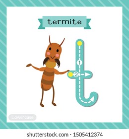 Letter T lowercase cute children colorful zoo and animals ABC alphabet tracing flashcard of Termite for kids learning English vocabulary and handwriting vector illustration.