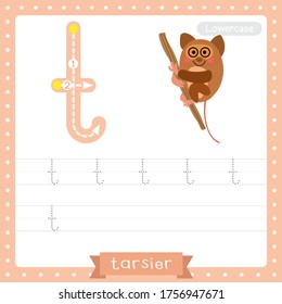 Letra T minúscula niños lindos y coloridos zoológico y animales ABC hoja de cálculo de práctica de seguimiento del alfabeto de Tarsier colgando en el árbol para niños aprendiendo vocabulario inglés e ilustración del vector de escritura a mano.