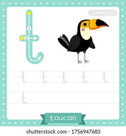 Letter T lowercase cute children colorful zoo and animals ABC alphabet tracing practice worksheet of Standing Toucan bird for kids learning English vocabulary and handwriting vector illustration.