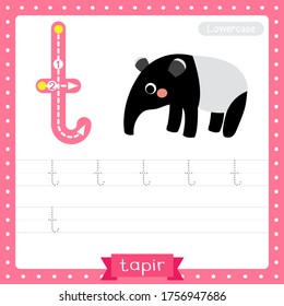 Letter T lowercase cute children colorful zoo and animals ABC alphabet tracing practice worksheet of Standing Tapir for kids learning English vocabulary and handwriting vector illustration.