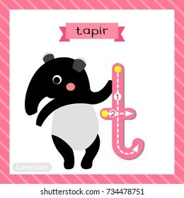 Letter T lowercase cute children colorful zoo and animals ABC alphabet tracing flashcard of Standing Tapir for kids learning English vocabulary and handwriting vector illustration.